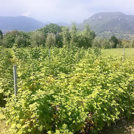 Фермерский дом Agriturismo La Scala *