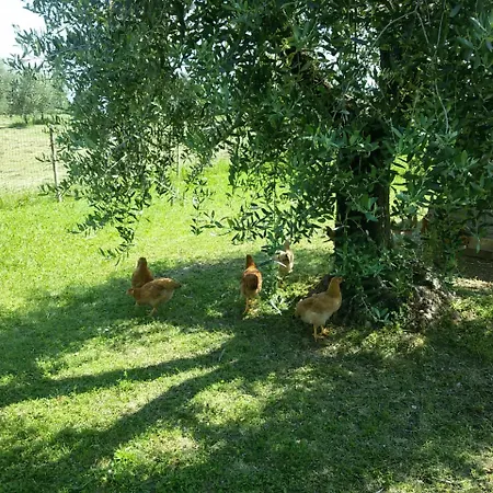 Agriturismo La Scala Фермерский дом Сало
