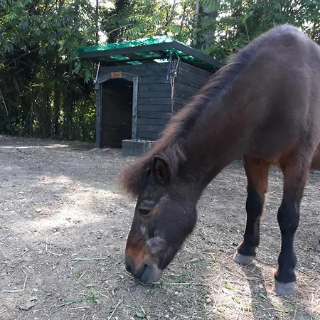 Agriturismo La Scala Фермерский дом