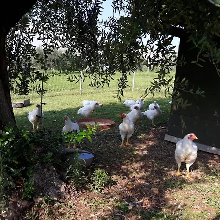 Agriturismo La Scala *