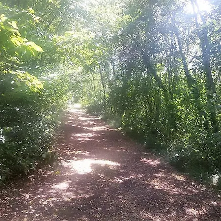 Bauernhof La Scala Saló