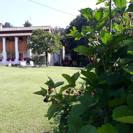 La Scala Saló